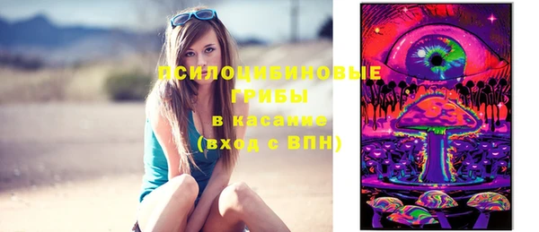 бошки Нязепетровск