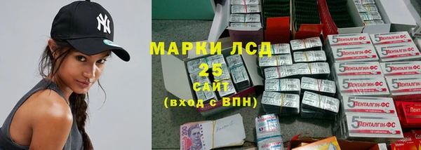 ПСИЛОЦИБИНОВЫЕ ГРИБЫ Осинники