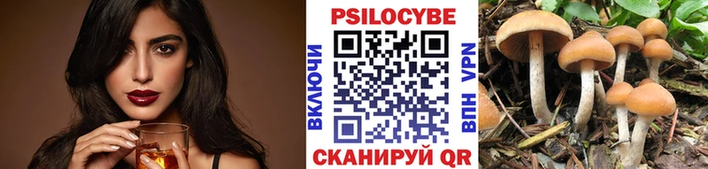 Псилоцибиновые грибы Psilocybine cubensis Задонск